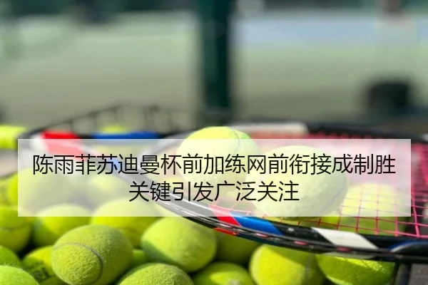 陈雨菲苏迪曼杯前加练网前衔接成制胜关键引发广泛关注